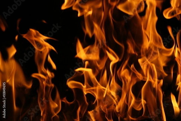 Obraz feu, flamme