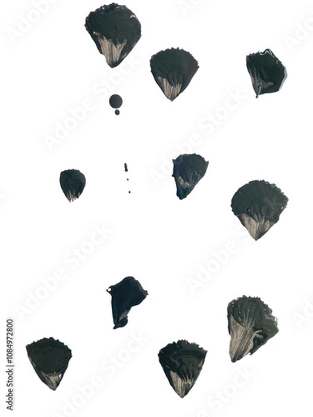 Fototapeta black and white hearts. abstract ink black of stain or splash black watercolor paint and liquid Ink splash splatter is  black line calligraphy of brush isolated on white background with clipping path