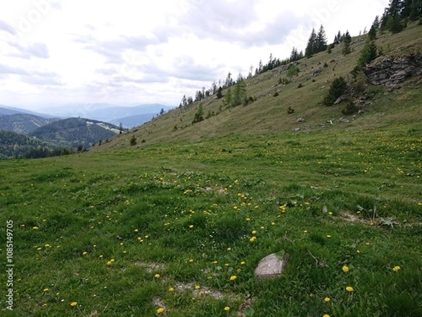 Obraz Wedrujac po gorach.