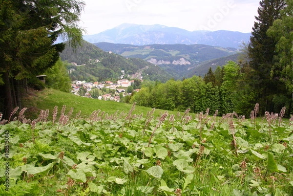 Obraz Wedrujac po gorach.