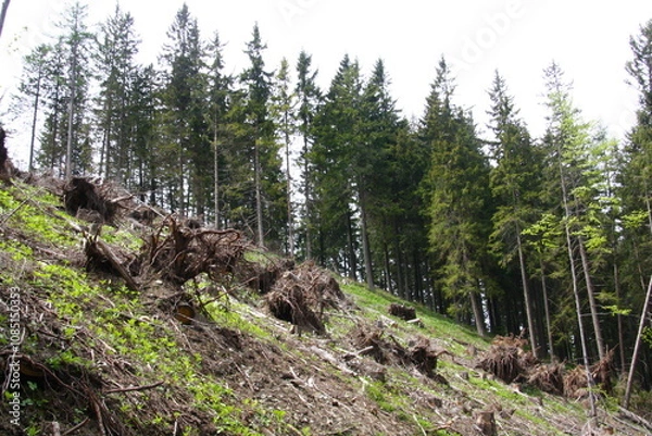 Obraz Wedrujac po gorach.