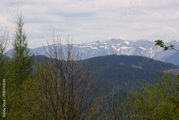 Obraz Wedrujac po gorach.
