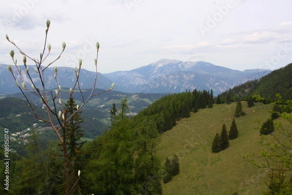 Obraz Wedrujac po gorach.