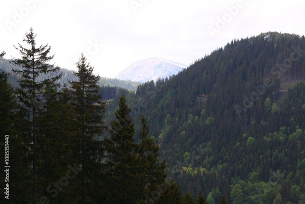 Obraz Wedrujac po gorach.