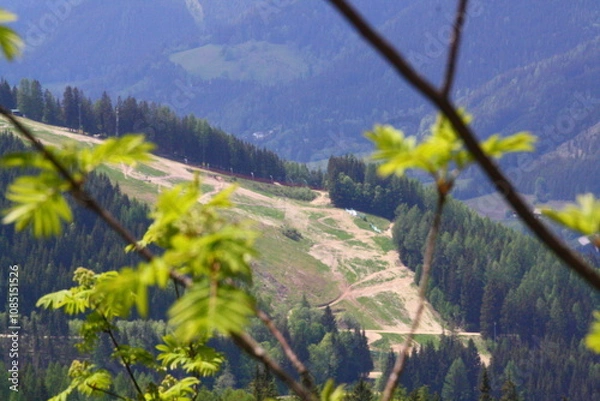 Obraz Wedrujac po gorach.