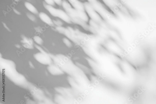 Obraz Abstract natural tree leaves shadow on white wall background