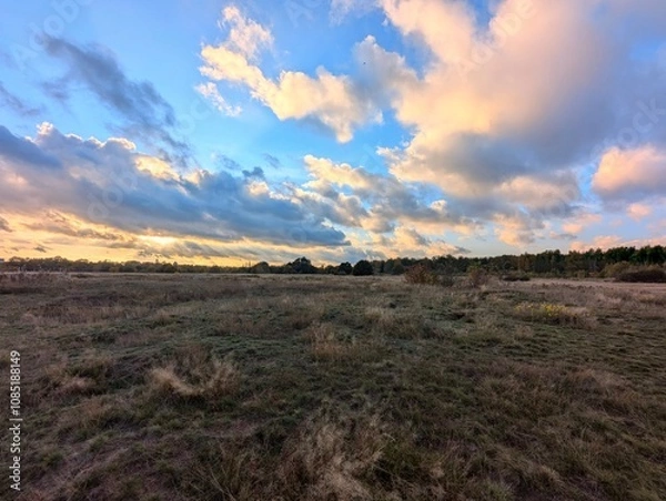 Obraz sunset over the field