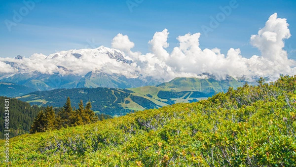 Fototapeta The valley of Mont Blanc (White Mountain), close to the village of Megeve. View from an hiking track. Green slope on the foreground. Mountains and glaciers on the background.