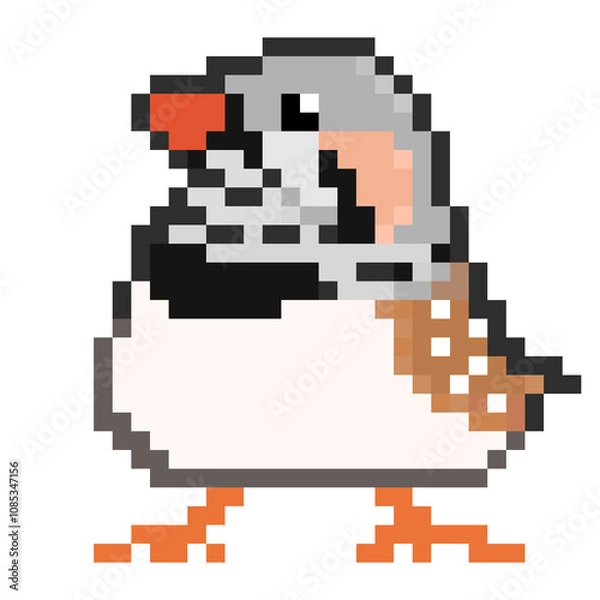Fototapeta ドット絵, アニマルイラスト, キンカチョウのオス, ライトバック