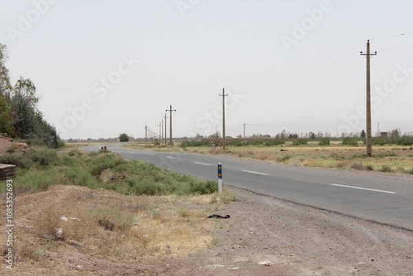 Fototapeta Empty asphalt road stretching through the desert, symbolizing solitude and the journey through remote areas.