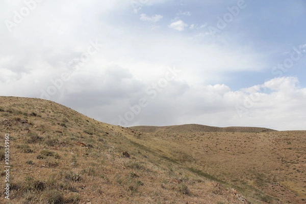 Fototapeta Dry hills and rugged terrain stretching across the landscape under a cloudy sky.