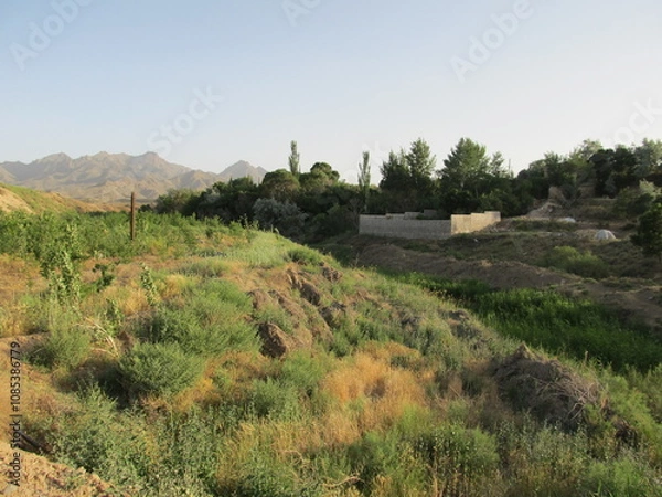 Fototapeta Lush green landscape with trees and bushes, creating a natural and refreshing environment.