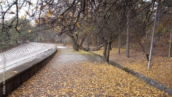 Fototapeta Middle East Technical University Campus in Autumn.