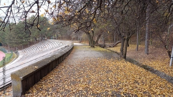 Fototapeta Middle East Technical University Campus in Autumn.