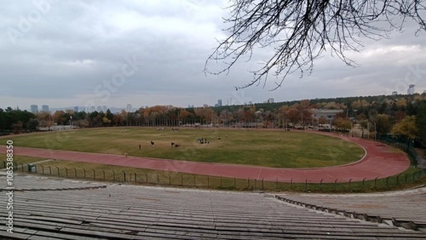 Fototapeta Middle East Technical University Campus in Autumn.