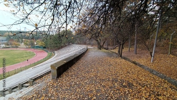 Fototapeta Middle East Technical University Campus in Autumn.