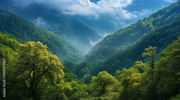 Fototapeta A breathtaking view of the lush green mountains and dense forests, with mist rising from their valleys