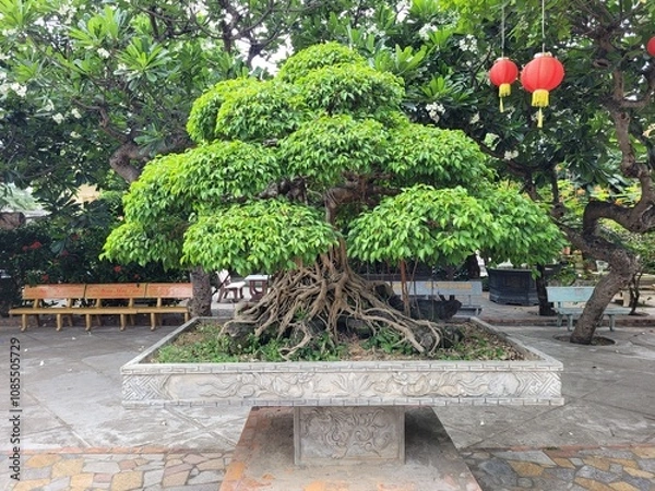 Obraz japanese garden