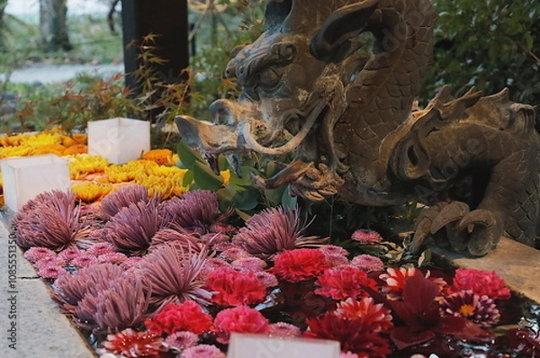Fototapeta 龍の像がある花手水に浮かぶ色とりどりの菊の花
