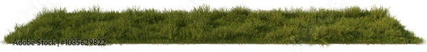 Fototapeta grass line field wild and fresh