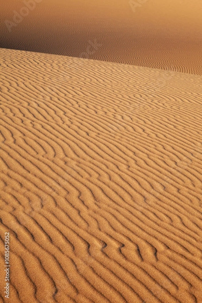 Obraz Sand dune with ripples, vertical perspective, background