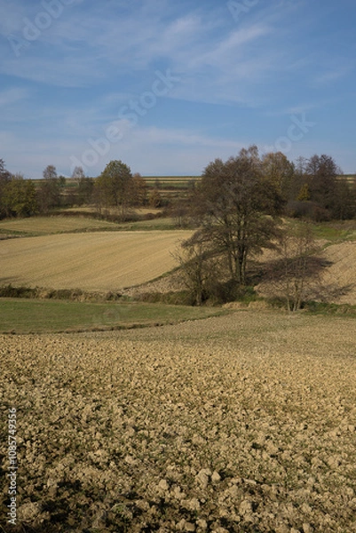 Obraz Autumn in farm fields in hilly terrain