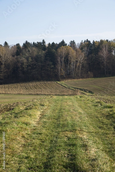 Obraz Autumn in farm fields in hilly terrain