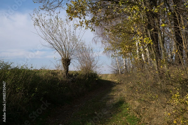 Obraz Autumn in farm fields in hilly terrain