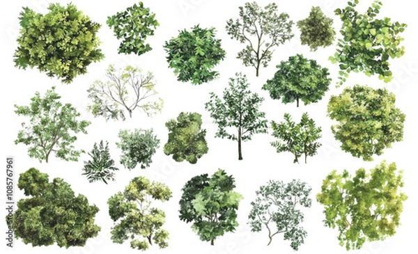 Fototapeta A collection of minimalist vector outline trees, ideal for architectural plans