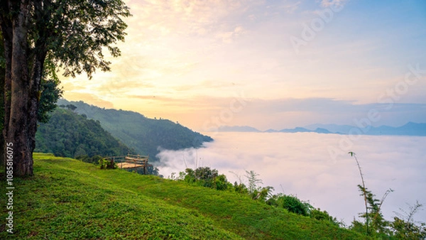 Fototapeta Landscape view of mist or fog over the mountain valley  during sunrise with green grass field in foreground.