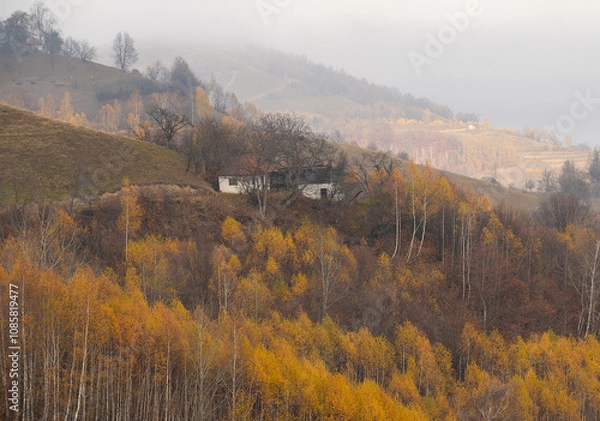 Obraz Autumn landscape from Transylvania, Romania. Village from Carpathian Mountains on a cloudy day.