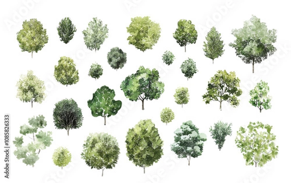 Fototapeta A collection of minimalist vector outline trees, ideal for architectural plans