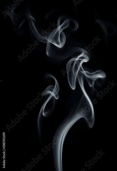 Obraz Elegant smoky trails creating mesmerizing abstract forms in motion