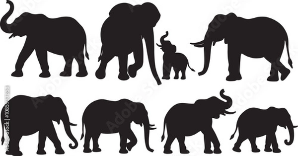 Obraz silhouettes of elephants