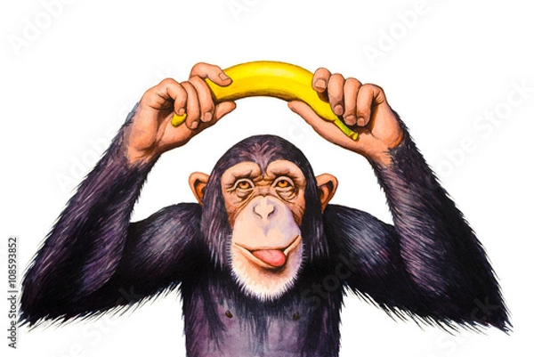 Obraz Szympans trzymając ręce banana nad głową. Akwarela ilustracja.