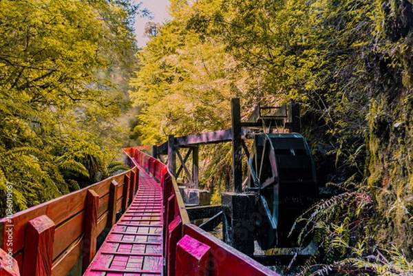Obraz Bridge in the forest