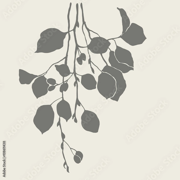 Obraz Silhouette of alder branch.