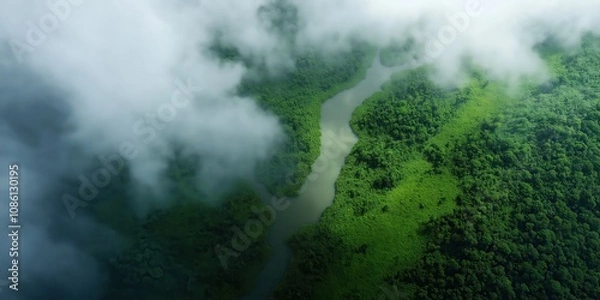 Fototapeta An extreme close-up view from space, looking down at the dense, green rainforest of Indonesia's Kalimantan region