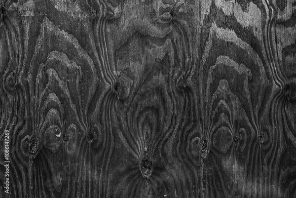 Obraz birch plywood surface  pattern textured background