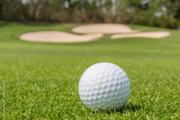Fototapeta Close up the Golf ball on grass with blurred green course backgr