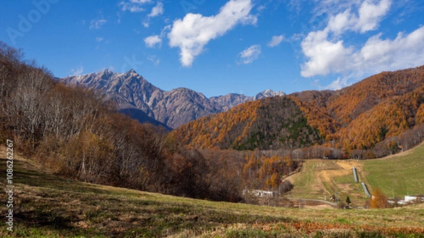 Fototapeta 冠雪の北アルプスと紅葉の山並み 長野県白馬村