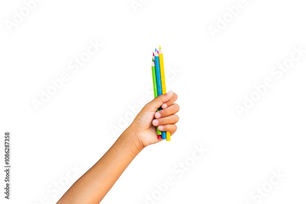 Fototapeta Child's hands holding colored pencils isolated on transparent background.