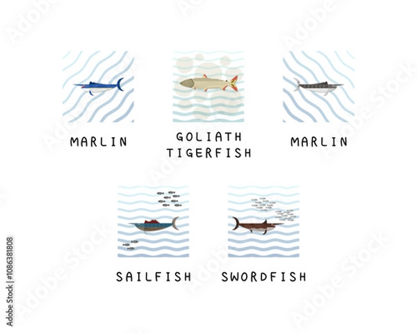 Obraz Set of editable fish vector templates.	