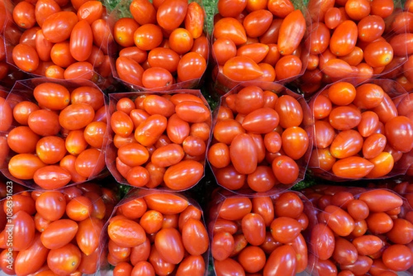 Fototapeta Top View of Fresh Cherry Tomatoes Display on fresh market stall. A vibrant close-up of fresh bright red cherry tomatoes neatly arranged in plastic bags at a market.