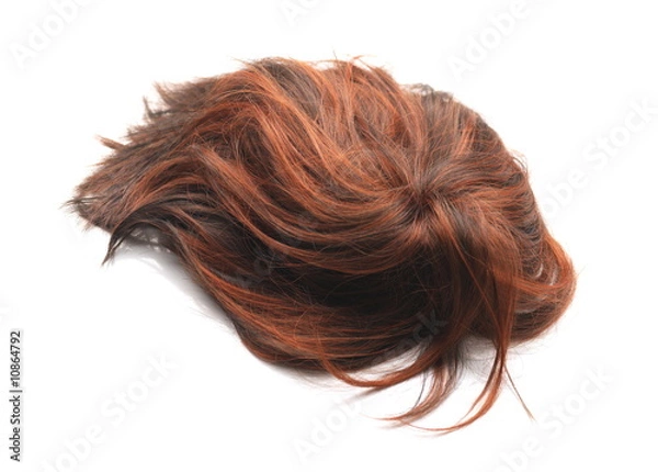 Obraz parrucca rossa