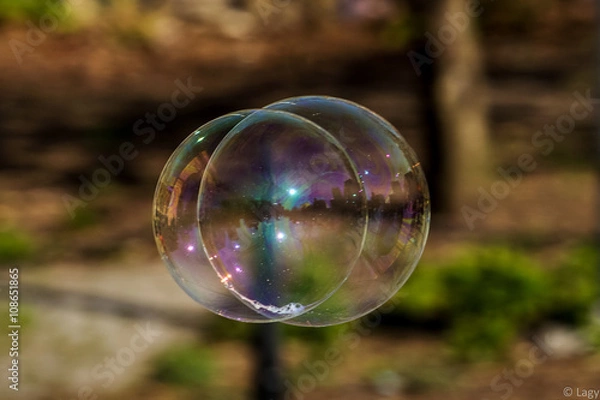 Fototapeta double soap bubble in Washington Square