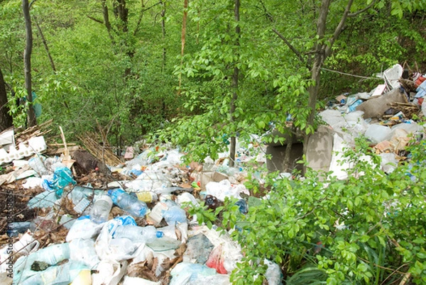 Obraz beautiful nature polluted garbage