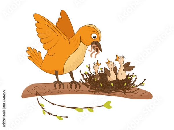 Fototapeta Bird feeds chicks with worms. Chicks waiting for food in the nest. Vector illustration with birds, nest, branch, mother bird, worm food. Picture for books, postcards, educational cards.
