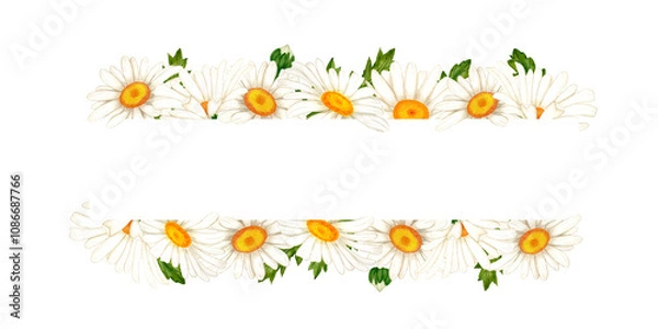 Obraz Border of watercolor white daisies and leaves. Wildflowers for design of cards and invitations