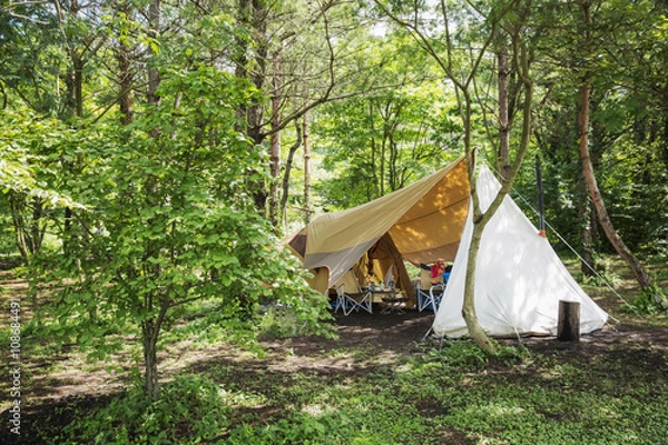 Fototapeta キャンプのある風景